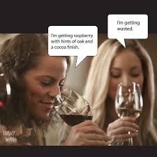 Pin By Elissamarie On Report To The Fort American Wine Wine Humor Wine And Food Festival