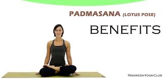 Benefits Of Padmasana Yoga Lotus Pose Meaning Steps Information
