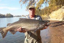 Sacramento Fishing Everything You Need To Know