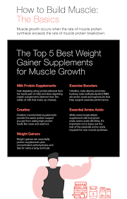 Top 5 Best Weight Gainer And Protein Supplements For Muscle Growth The Amino Company