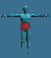 Throughout the day one's digestive system ingests foods, secretes fluid etc. Stress And Your Digestive System