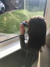 Pilgrim Academy News