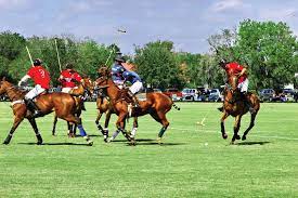 We did not find results for: Let S Go Watch A Polo Match At Sarasota Polo Club Sarasota Magazine