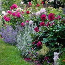Flower Arrangements From The Garden Peonies Garden Flower Garden Design Plants