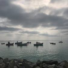 Comienza a planificar para ir a struisbaai. Struisbaai Harbour Picture Of Struisbaai Cape Agulhas Tripadvisor