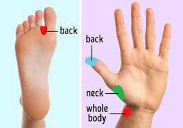Prostate massage or prostate milking increases circulation and reduces suffering in many cases. 9 Types Of Massage That Can Help You With Your Back And Neck Pain