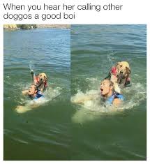 My Uncle S Meme Stash On Twitter You Betrayed Me Karen