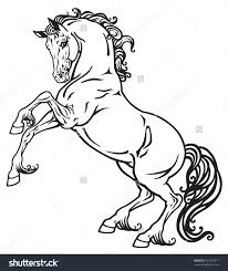 Beautiful long mane and outline. Horse Rearing Up Drawing Peepsburgh