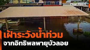 Thai PBS - News update