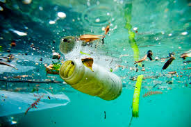 water pollution ile ilgili görsel sonucu