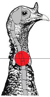 printable turkey targets for shooting printable turkey shooting targets paper shooting targets