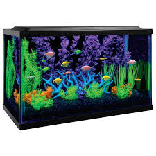 Flash Deal Glofish 10 Gallon Aquarium Kit With Filter Conditioner And Fish Food Walmart Com In 2020 Glofish Glofish Aquarium Glow Fish
