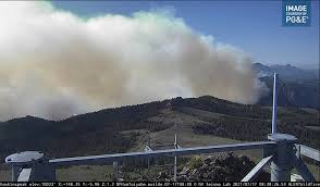 6 hours ago · the tamarack fire, which began on july 4 in alpine county, grew from 500 acres friday night to 21,000 as of sunday morning, with zero containment. Ax0osfkg Khmam