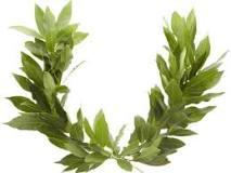 History of 'Laurel': Plants and Prizes | Merriam-Webster