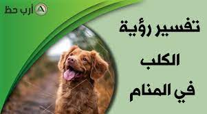 يختلف رؤية الكلب فى المنام بحسب تأويل الحلم نفسه بالنسبة للشخص فقد قيل أن الكلب قد يعنى عبد وفى ومن الممكن أن يعنى رجل سفيه ظالم وذلك إذا رأى الشخص فى المنام كلب ينبح والكلب الأسود في المنام يدل على و جود عدو في حياة هذا الشخص. ÙˆØ¨Ø§Ù„ØªØ§Ù„ÙŠ Ø´ÙƒÙ„ Ø§Ù„Ø¬Ù„Ø³Ø© Ø§Ù„Ø¹Ø§Ù…Ø© Ø­Ù„Ù… Ø·Ø±Ø¯ Ø§Ù„ÙƒÙ„Ø¨ Ù…Ù† Ø§Ù„Ø¨ÙŠØª Ckleroderosbo Com