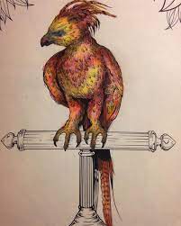 carmina on instagram currently working fawkes harrypotter harrypottercoloringbook phoenix adultcoloringbook art hobby harry potter coloriage ninjago serpents