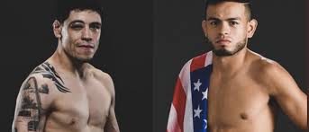 It has a resolution of 1080x1080 pixels. Ufc 255 Staff Picks Back Sports Page