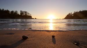 The program, a partnership between california state parks and friends of santa cruz state parks, increases the number of students who have visited a state park or beach by reducing barriers to access. 8 Spots For Van Camping On The Coast Travel Oregon