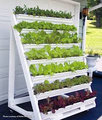 Note, this post contains some affiliate links. Grow Greens In This Diy Vertical Garden Garden Gate