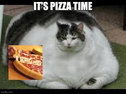At fat cat's pizza, our mission is to offer delicious comfort food that'll satisfy your taste buds. Fat Cat 2 Imgflip
