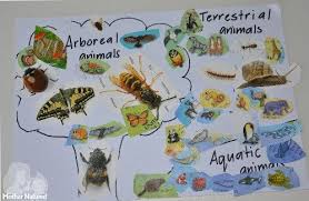 A common measure of this variety, called species richness, is the count of species in an area. A Sorting Animal Habitat Activity For Little Learners Animal Habitats Habitat Activities Animal Habitat Activities