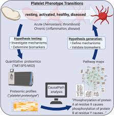 What does scotts diseaseex lawn fungicide do? Platelet Proteomes Pathways And Phenotypes As Informants Of Vascular Wellness And Disease Arteriosclerosis Thrombosis And Vascular Biology