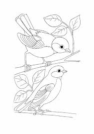 Bird coloring page to download and coloring. Free Bird Coloring Pages Pdf Free Coloring Sheets Bird Coloring Pages Bird Embroidery Pattern Bird Coloring Page