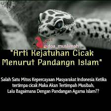 Maybe you would like to learn more about one of these? Berita Islam Kendati Menurut Primbon Arti Ketiban Cecak Facebook