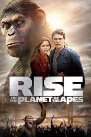 Perhaps moviegoers didn't know what to make of it, although today it. What Is The Greatest Film Ever Made