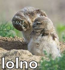 [Obrazek: images?q=tbn:ANd9GcQ4uS9yncUKddYPYvPf7xi...28g6moDIMQ]