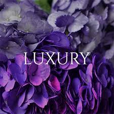 Order now and get this week special 30% off flowers. Uzc5rl938cytjm