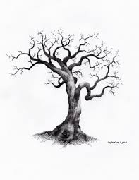 The lord of the rings artwork is published across 190 pages in both pencil sketches and digital paintings. Realistic Tall Tree Drawing Novocom Top