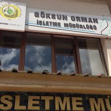 Logoda tek renk, bayrak kırmızısı uygulanmıştır. Goksun Orman Isletme Mudurlugu