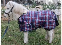 This text has been translated automatically. Pferdedecken Luba Pferdedecken