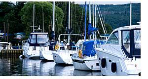 This includes 29 new vessels and 17 used boats, available from both individual owners. Boats For Sale In Northeast Alabama New Used Boat Dealers In Al