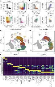 Mereka yang telah meremehkannya, pada akhirnya harus berlutut di depan ye chen dan dengan ketakutan memangilnya tuan. Identifying Cns Colonizing T Cells As Potential Therapeutic Targets To Prevent Progression Of Multiple Sclerosis Sciencedirect