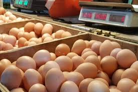 Kumpulan gambar tentang foto telur ayam, klik untuk melihat koleksi gambar lain di kibrispdr.org. Operasi Pasar Kementan Jual Telur Ayam Rp19 500 Per Kg Rasuk News