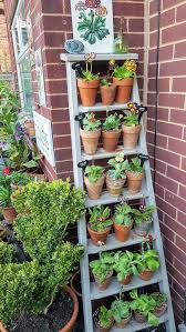 Darren Lakin On Twitter Patio Garden Small Gardens Small Courtyard Gardens