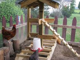 This way they can really work out the muscles that they use for climbing and perching. Build A Jungle Gym For Your Backyard Chickens Diy Projects For Everyone