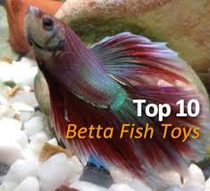 This is the 240volt product with an australian plug. Top 10 Ideas For Betta Fish Toys Don T Have A Bored Betta Betta Fish Toys Betta Fish Betta Fish Tank