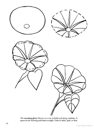 How To Draw Flowers Tecnicas De Arte Como Dibujar Animales Como Dibujar Flores