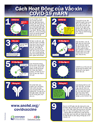 Từ khâu đầu đến khâu cuối cùng, thường mất. Cac Khuyáº¿n Khich Y Táº¿ Cong Cá»™ng Vá» Vi Rut Covid 19 Snohomish Health District Wa