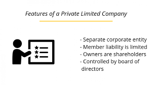 private limited company registration and its top 10 facts-solubilis