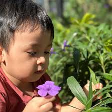 Ly Nguyen ❤️ (@cillynguyen) • Instagram photos and videos