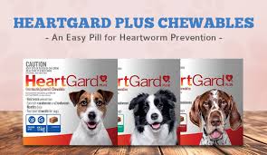 Heartgard From Australia