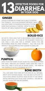 13 Foods That Can Help Ease Your Dogs Diarrhea Healthy Dog Food Recipes Dog Food Recipes Dog Has Diarrhea