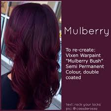 Hairstyles Burgundy Hair Color Chart Inspiring Hairstyles