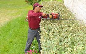 Apartments & houses for rent in college station, texas. Lawn Services Lawn Mowing Bryan College Station Tx Abc Home Commercial Services