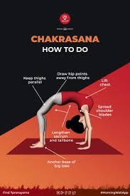 Chakrasana Urdhva Dhanurasana Wheel Pose Steps Benefits Yoga Facts Learn Yoga Poses Learn Yoga