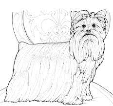 yorkshire terrier or yorkie coloring page dog book horse pages animal  coloriage de motif patchwork